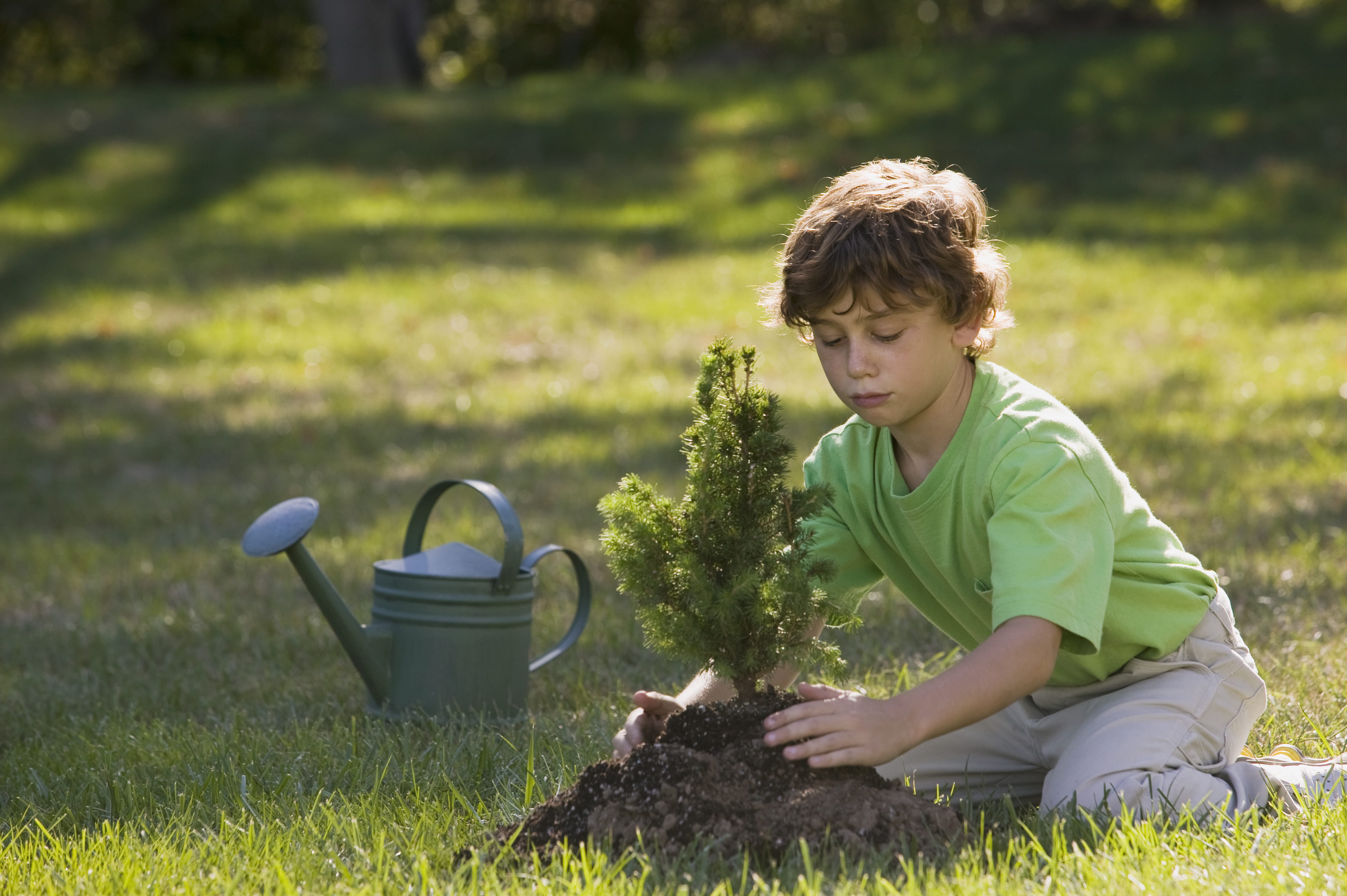 photo of a young boy planting a tree