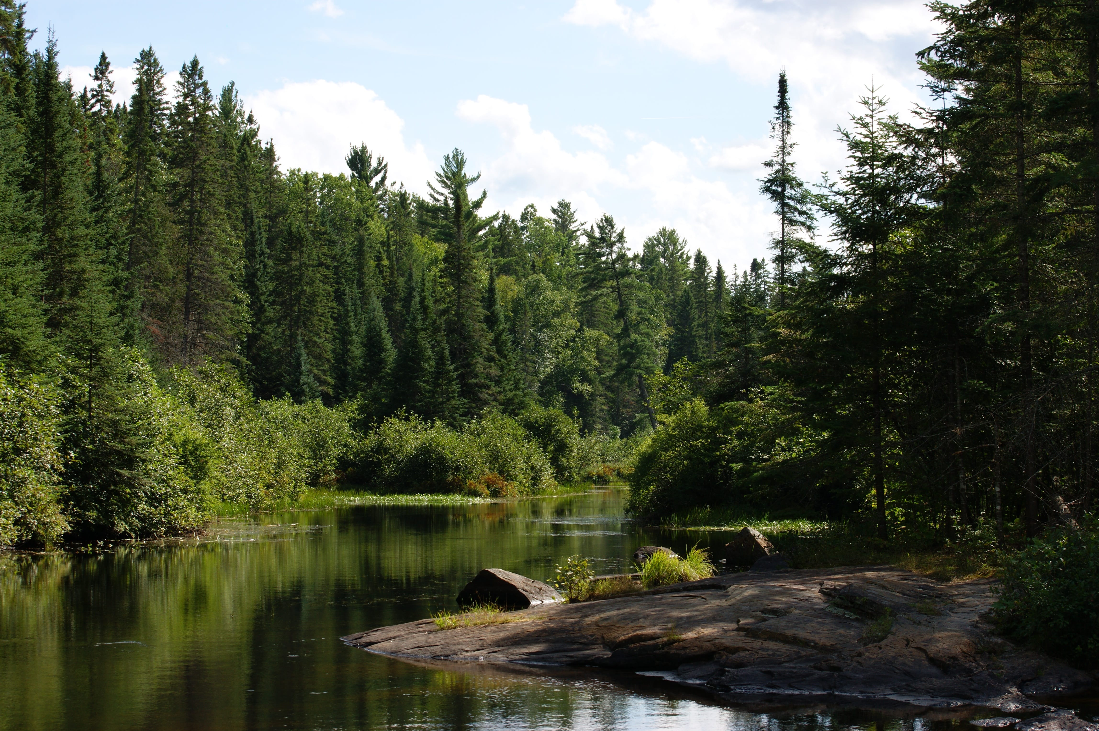 Image of a tree-lined river in the far north of Ontario